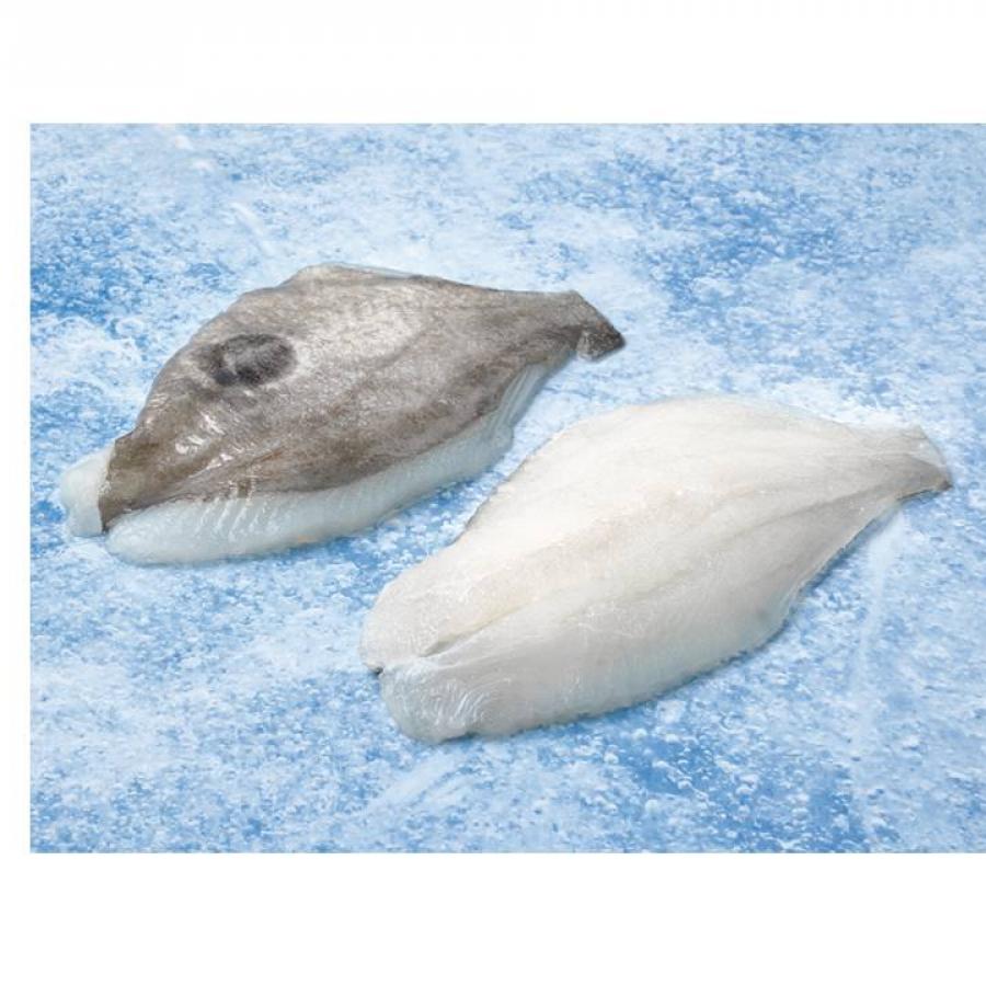 Filet Gallo San Pedro