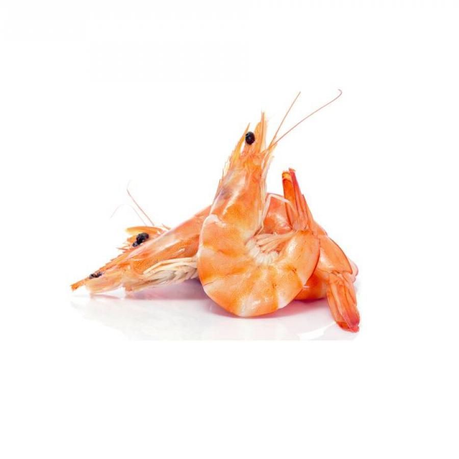 Llagostí Cuit Marines 40/60