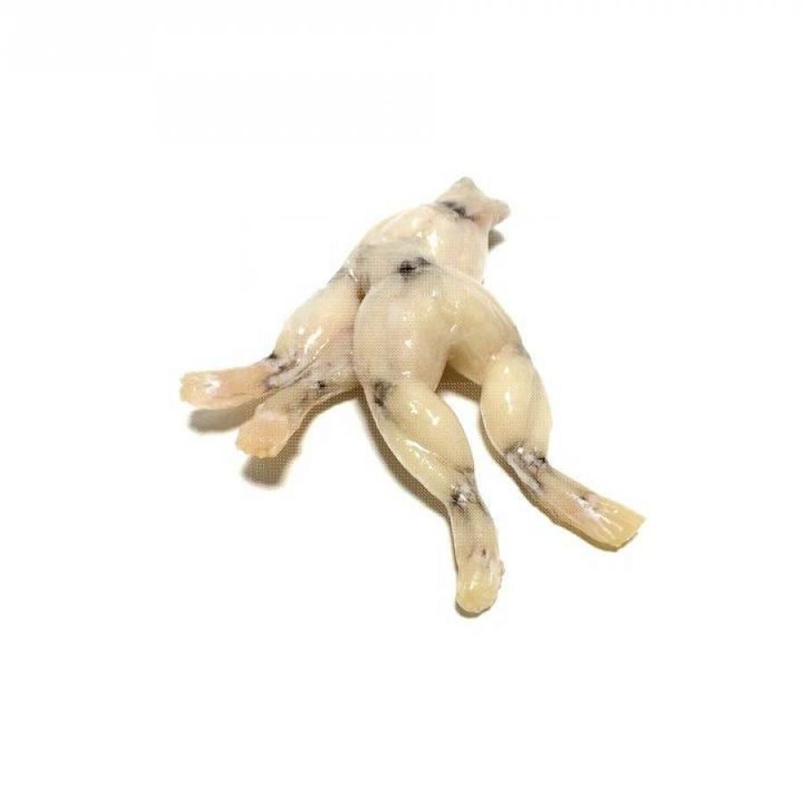 Cuixes de Granota 16/20